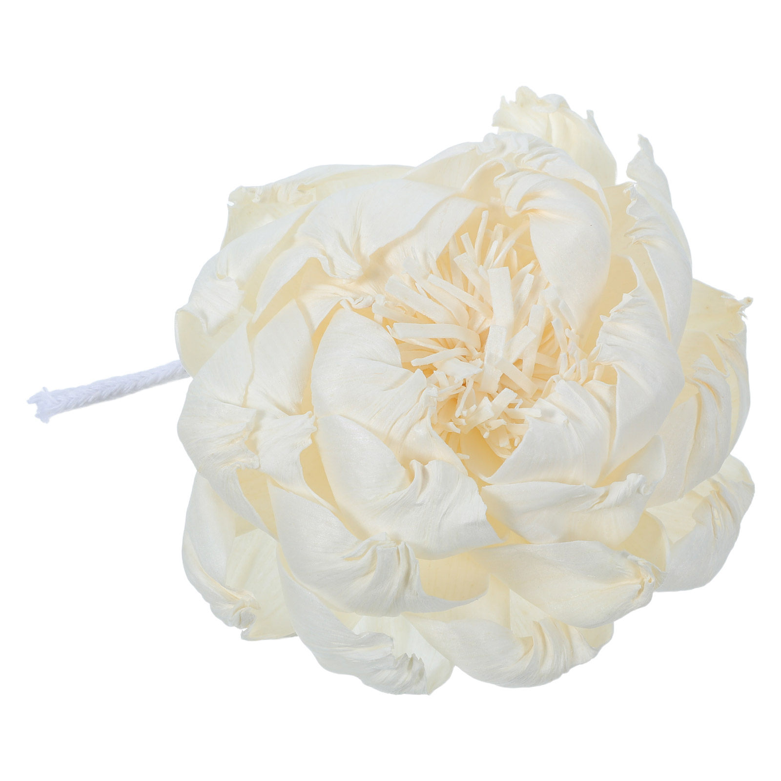 Peony Head Fragrance Diffuser  - Home Fragrance Usa 评论和价格