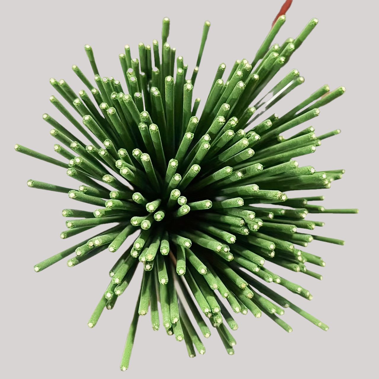 Reed Diffuser Sticks Lemongras - Home Fragrance Oud 评论和价格